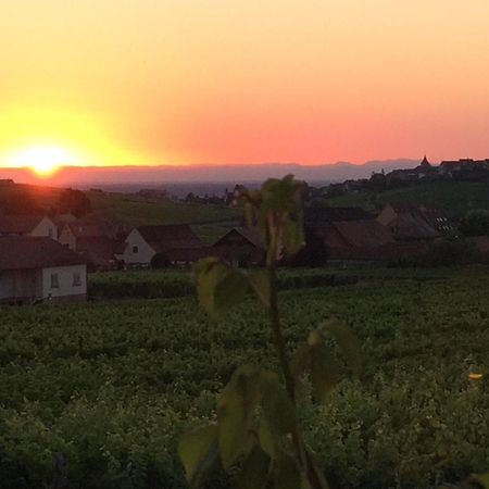 Gite Le Mandlé Riquewihr Extérieur photo