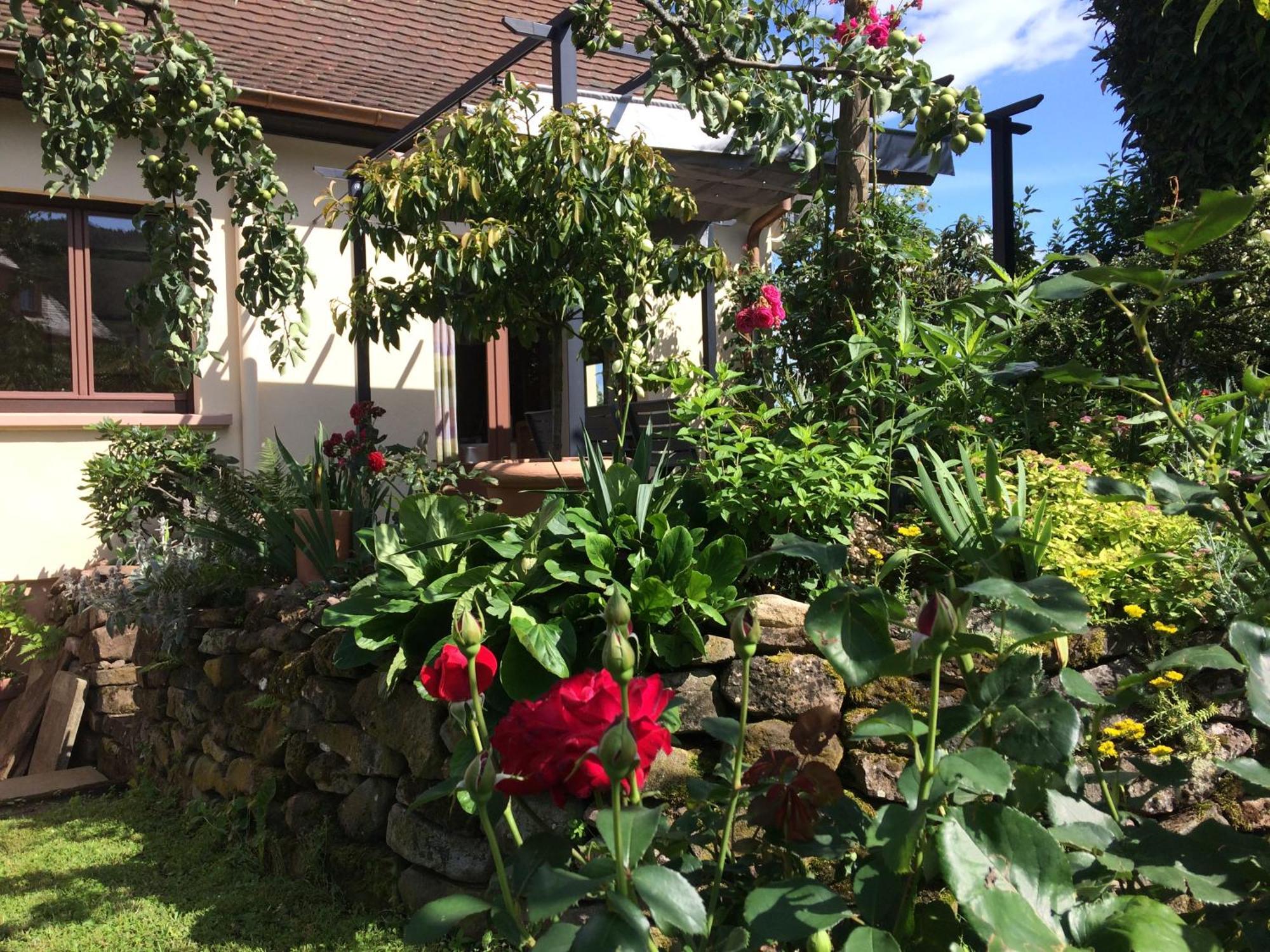 Villa Gite Le Mandlé à Riquewihr Extérieur photo