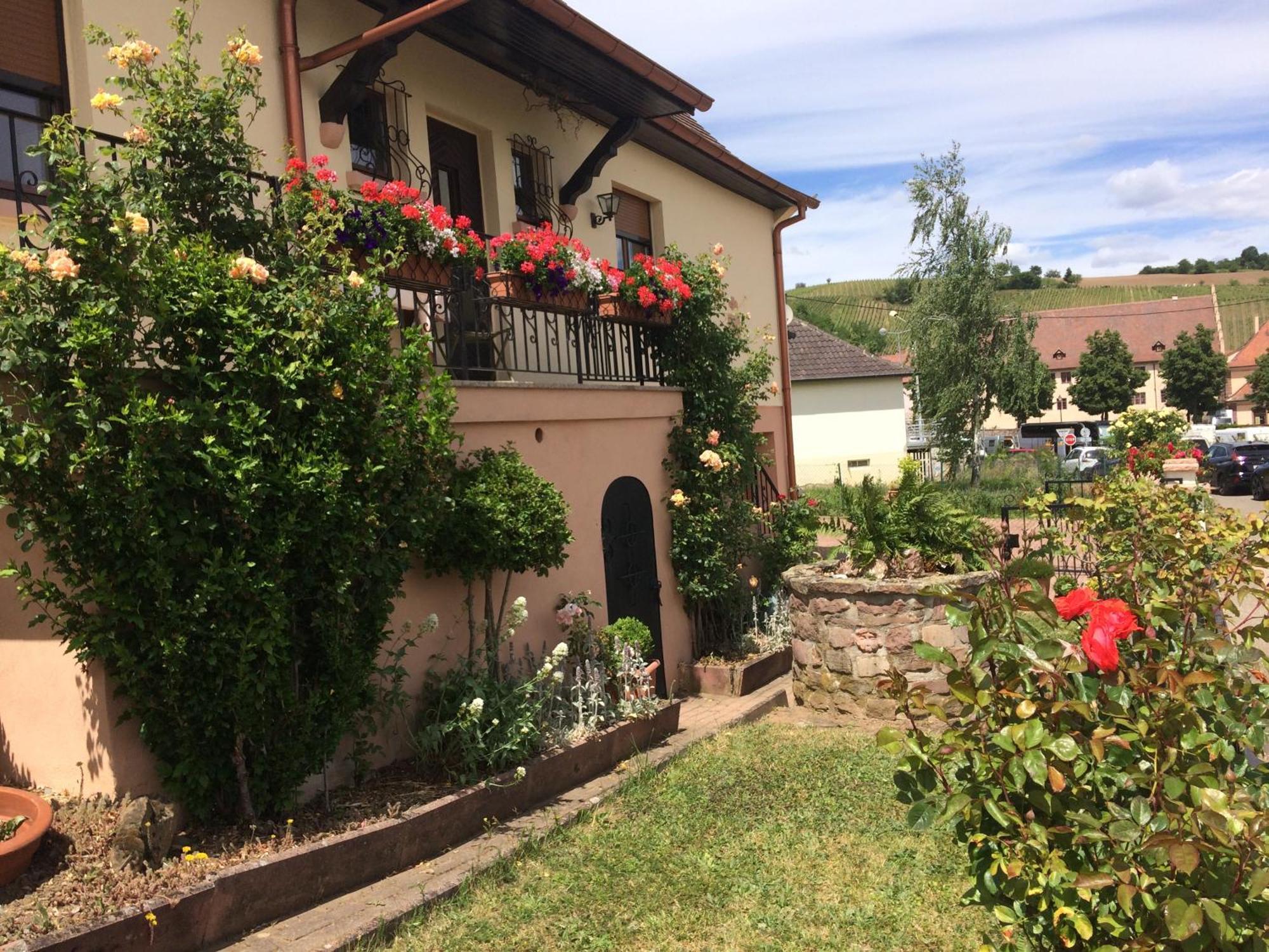 Villa Gite Le Mandlé à Riquewihr Extérieur photo