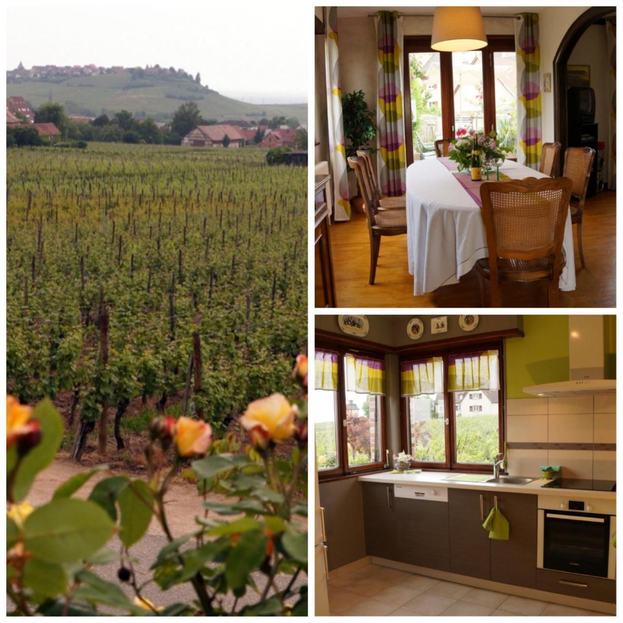 Gite Le Mandlé Riquewihr Extérieur photo